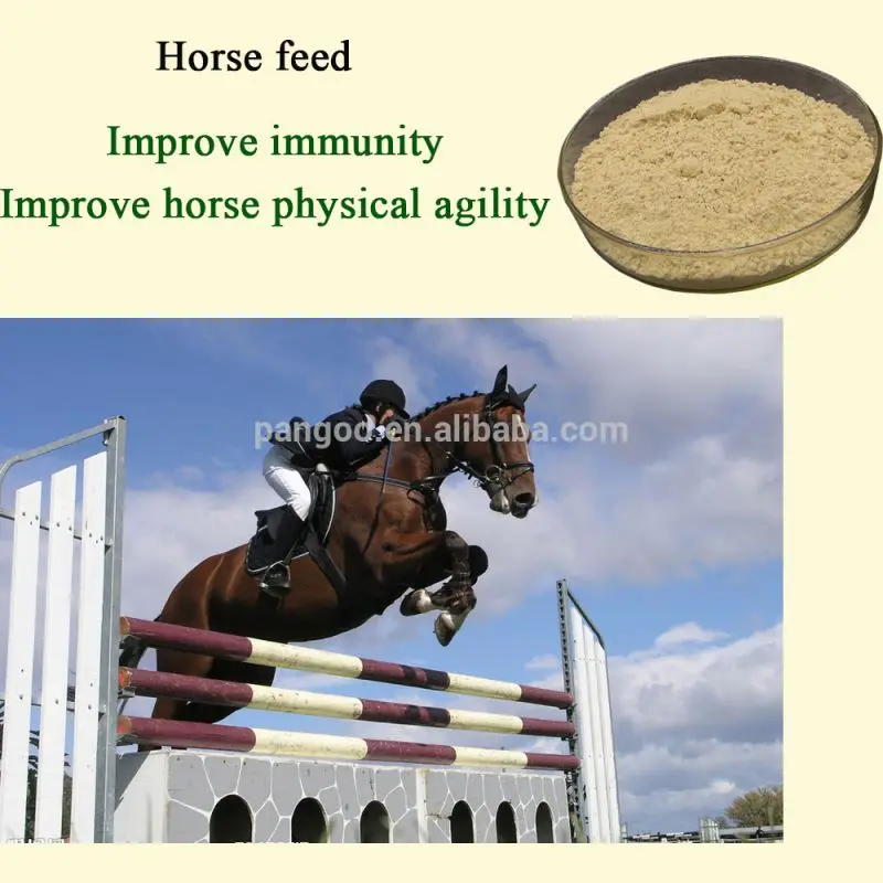  Racing horse food for improving the