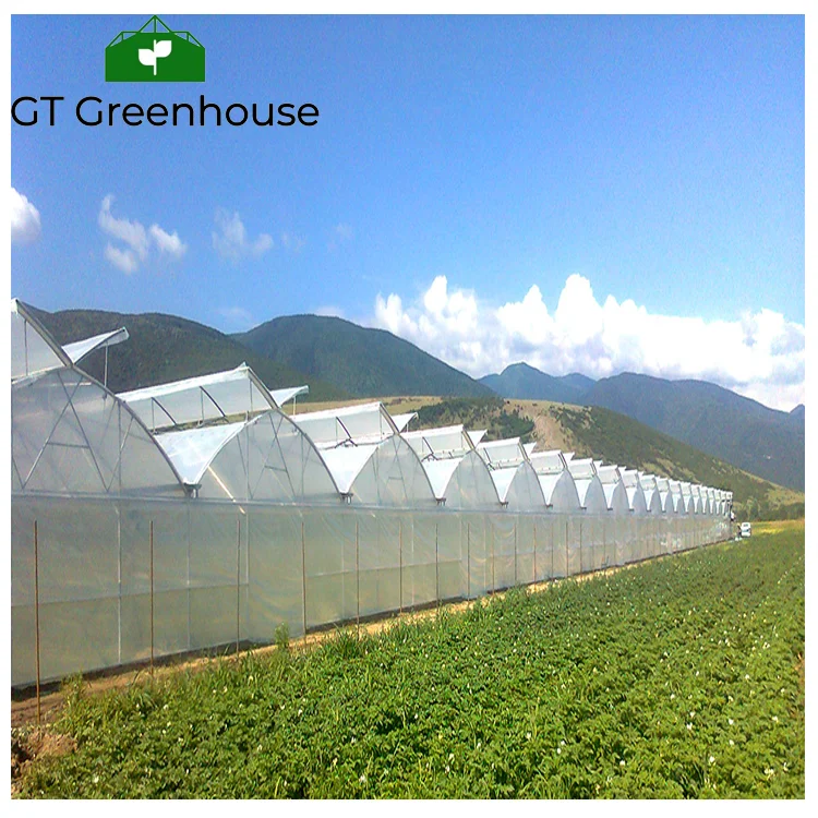 Agricultural Tropical Open Roof Greenhouses