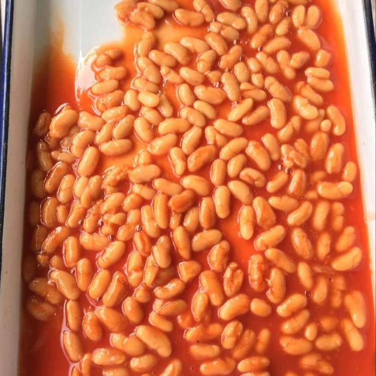 
wholesale canned food tined white kidney beans in tomato sauce 