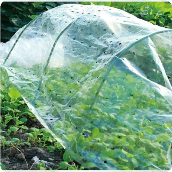 
Cover plastic film for greenhouse 
