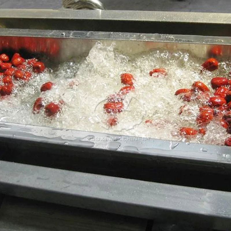 
Professional industrial Agriculture golden pumpkin cleaning/black gourd/balsam pear/cucumber washing machine 