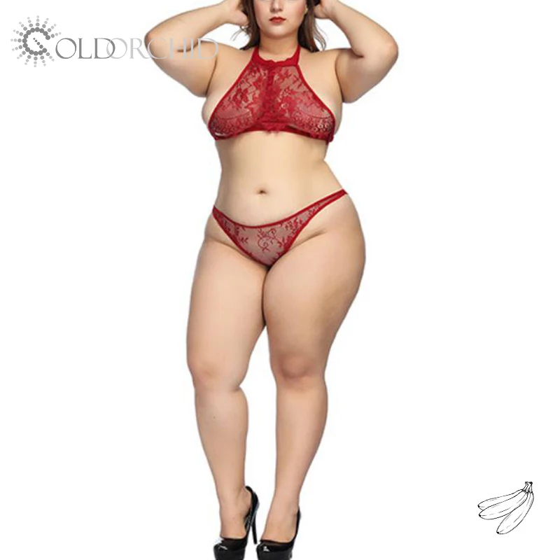 Hot Sale England Femme Underwear Bra and Panty Set Sexy Lingerie Transparent Japanese XXX Sex China Women's Clothing Chiffon