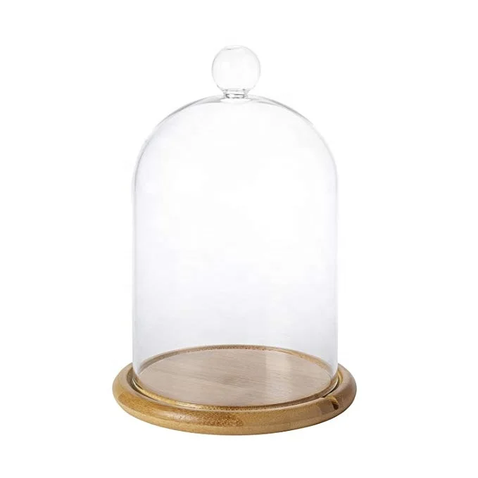
Custom Glass Cloche Bell Jar Display Dome with Bamboo Base 