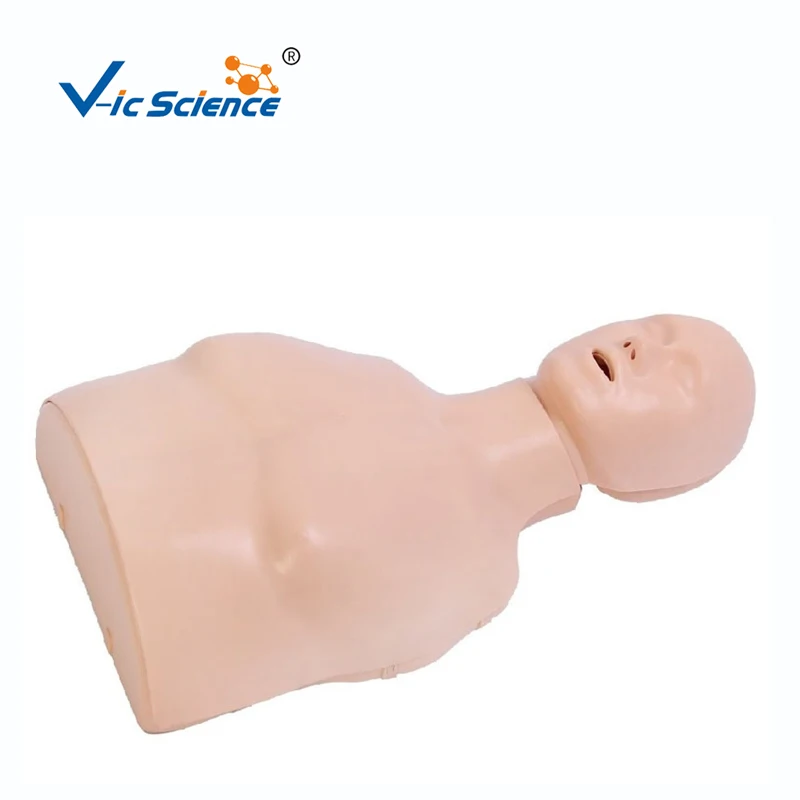 Модель обструкции тела для взрослых, манекен для тренировки, наружная компрессия груди