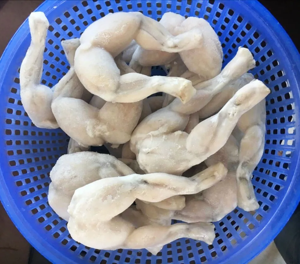 
Frozen High Quality Bull Frog Legs for sale 