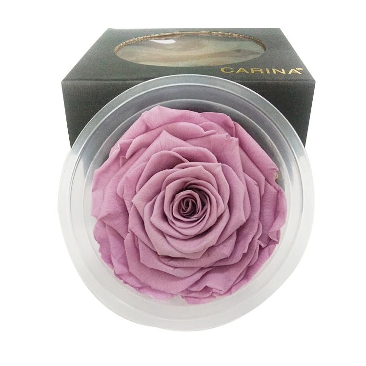 
9-10cm Preserved Rose Head For Ornament Everlasting Flower 