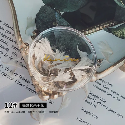 Manicure Ultra-thin Natural Dried Flowers Japanese Summer Cherry Blossom Dry Flowers For Nail Art