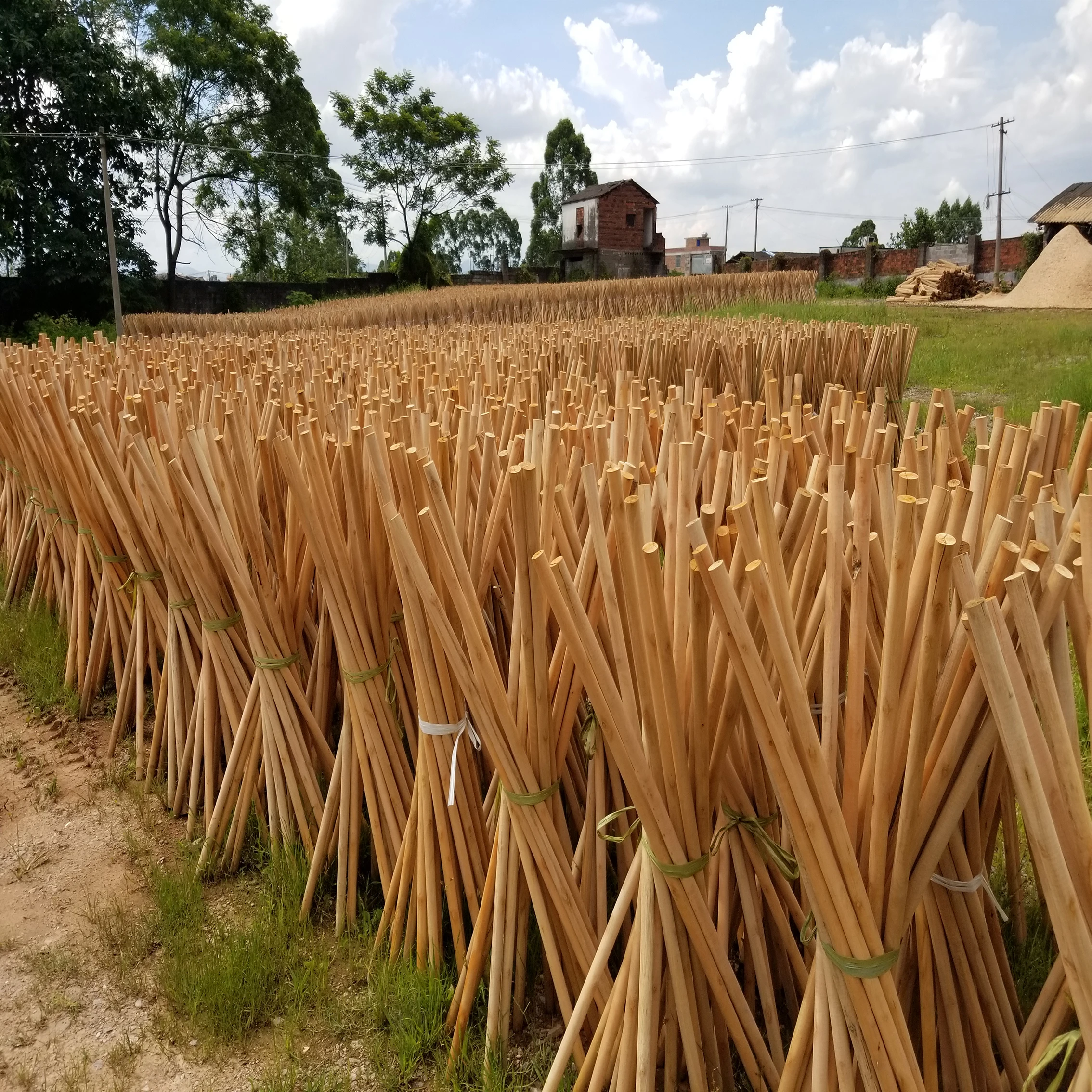 Supplier manufacture	garden tools china coconut broom sticks online sale with  pvc wooden handle