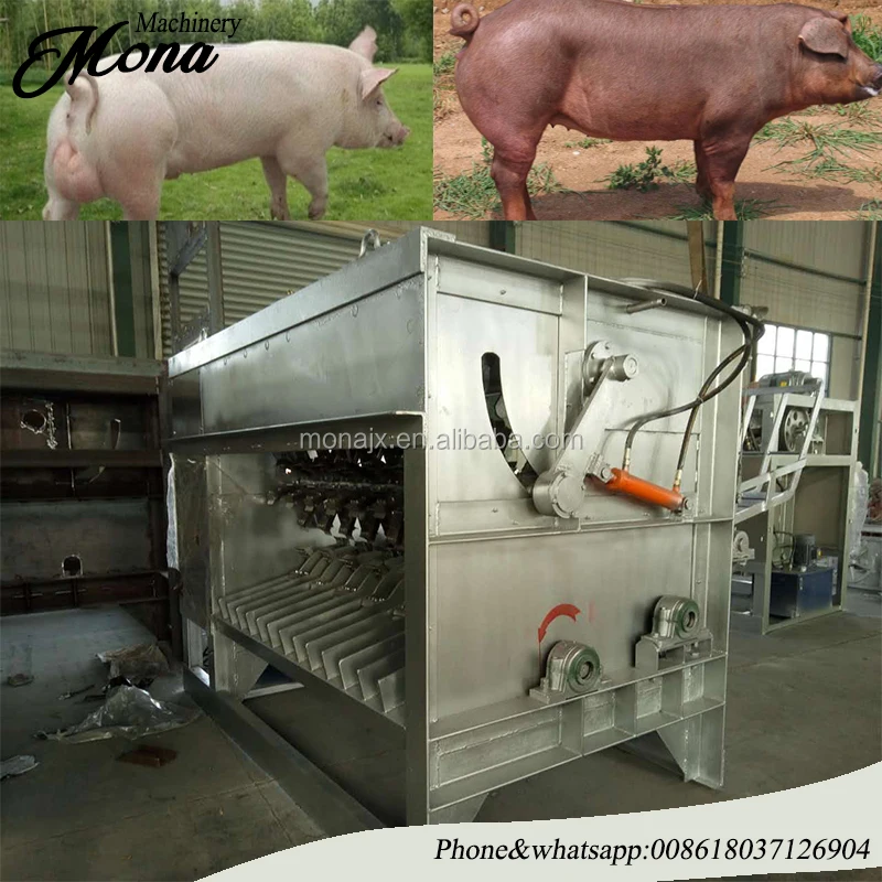 Hog scalder dehairer|Swine unhairing machine | whole Pig hair shaver machine Pig hair removal machine