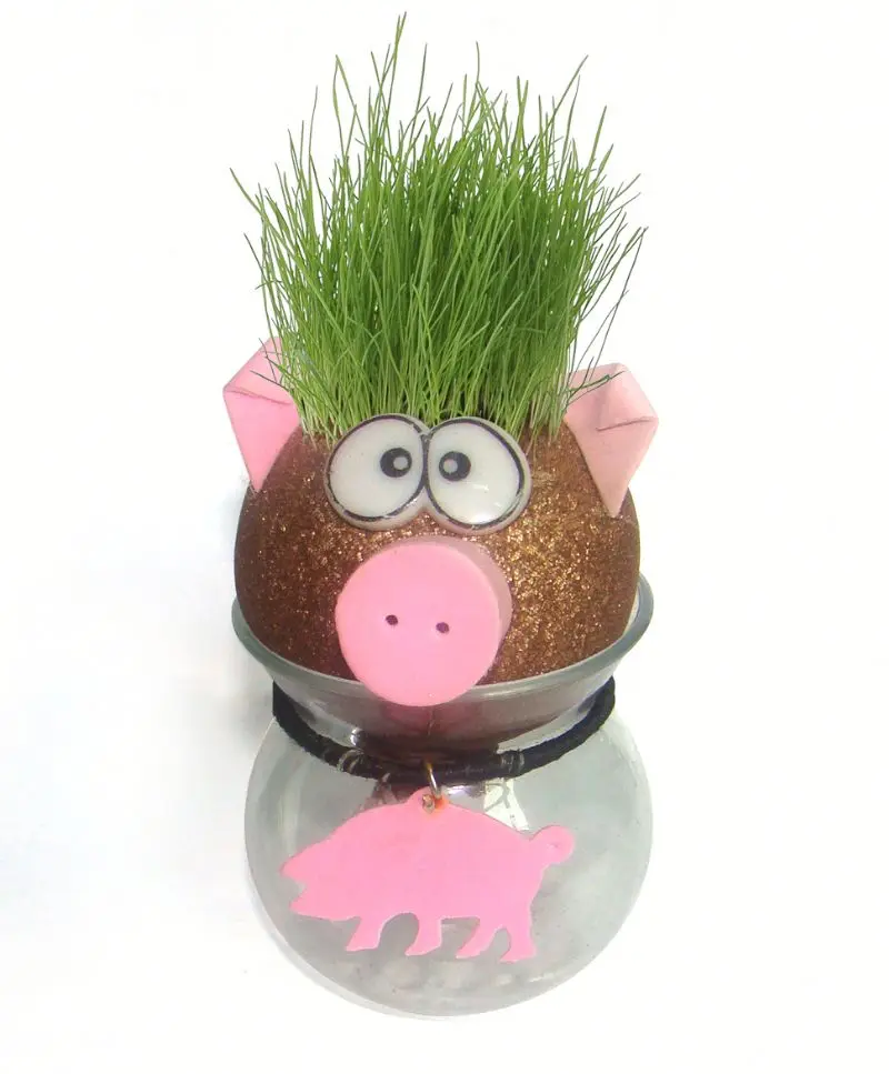 Оптовая продажа, недорогие горшки для растений в подарок