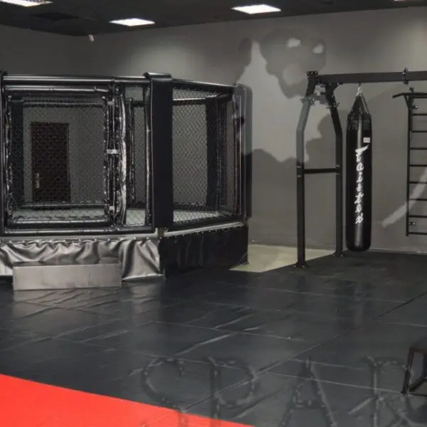 Cost-effective international mma octagon boxing cage used for sale