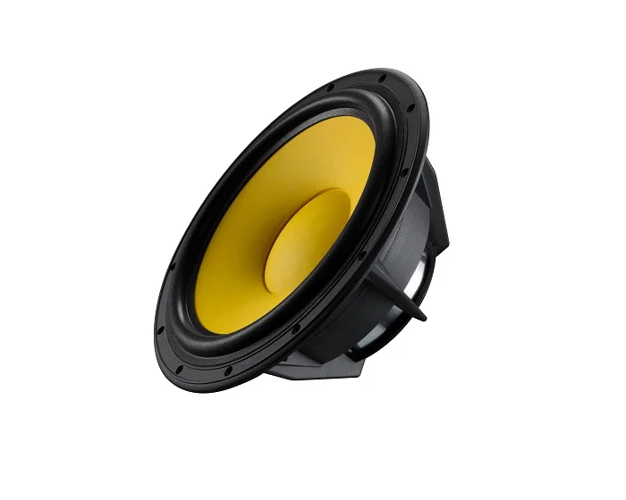 HiVi Hi-Fi 300W woofer speaker 10 inch Woofer unit suitable for DIY speaker Build D10G