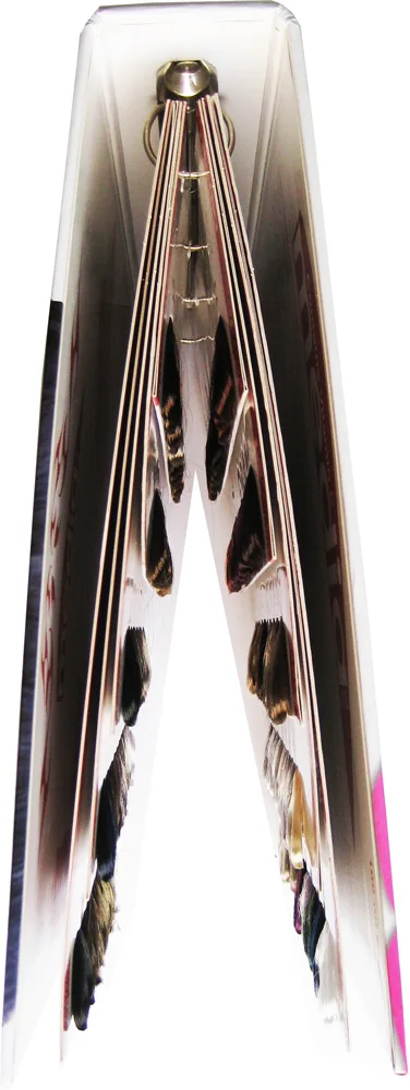 
2021 Beauty 2021 Hair Colour Cream- Hair Dye Beauty Tools For Salon OEM/ODM Salon Hair Color Chart/Catalogue 