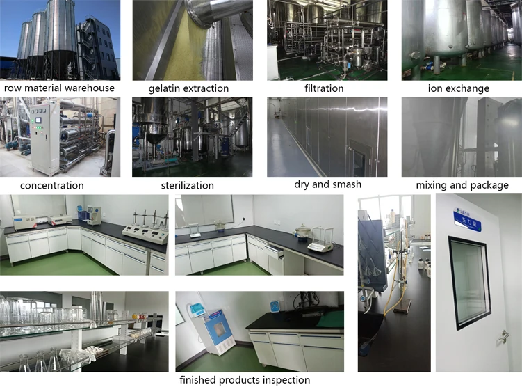 
Food Grade Edible Halal 160 Bloom Bovine Gelatin for Jelly 