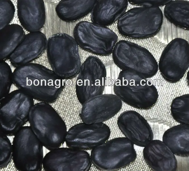 
 Черная Широкая фасоль по хорошей цене  