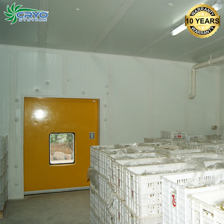 20% power saving Poultry European quality chicken blast freezer cold storage 50 ton for frozen backpack