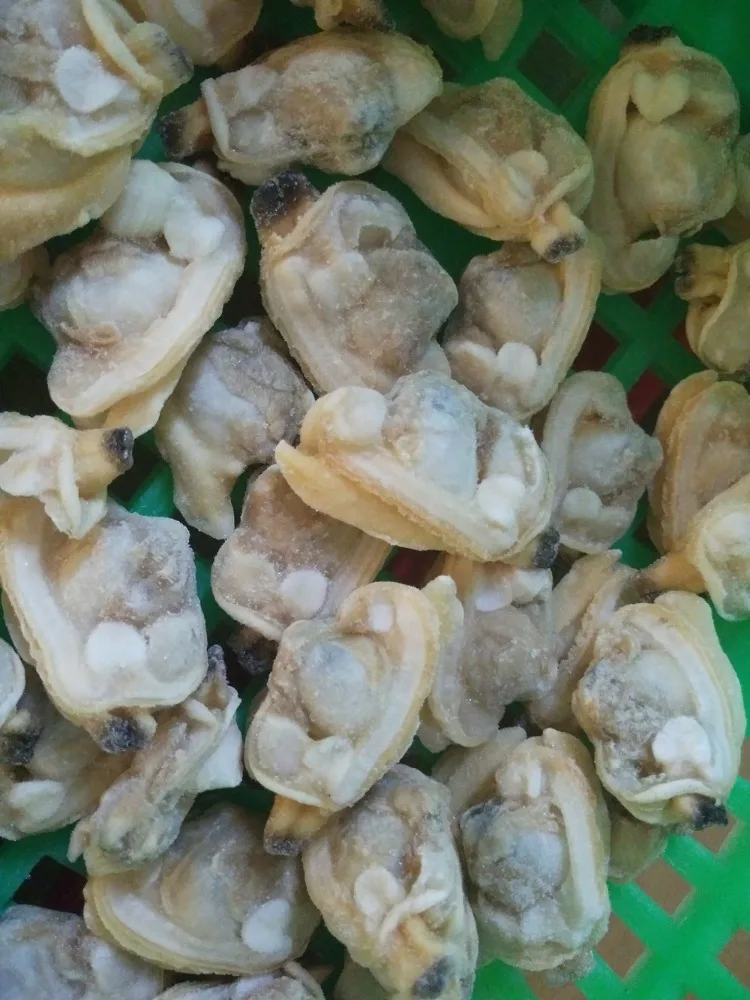 
Frozen Seafood Chinese Trading Companies Clam Meat of Shellfish 