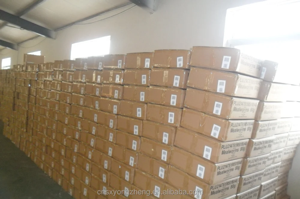 
100% Pure Natural Fish Feed Dried Brine Shrimp Eggs 