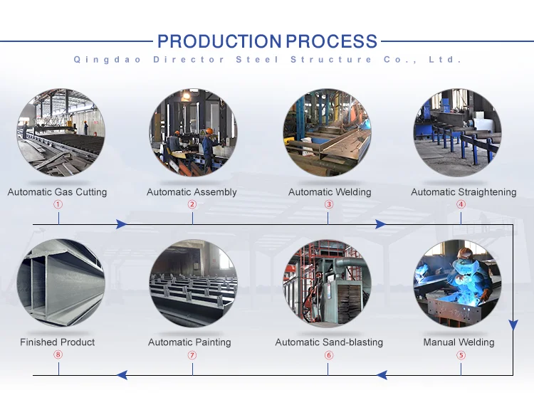 Covered Steel Indoor Fast Construction Prefab Horse Riding Arena Equestrian Building For Sale