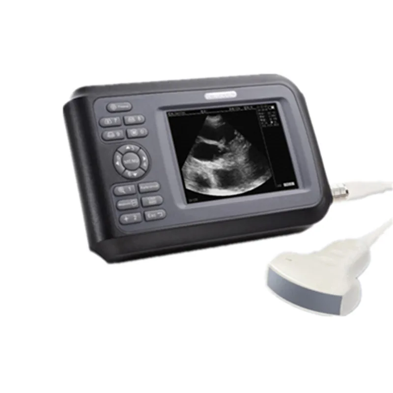 
Digital Portable Veterinary Ultrasound Scanner Diagnostic System For Pig And Dog 