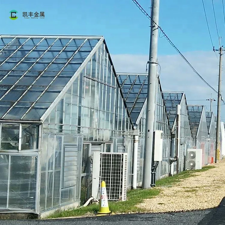 Green Houses Supplier Single or Multi-Span PC Greenhouse