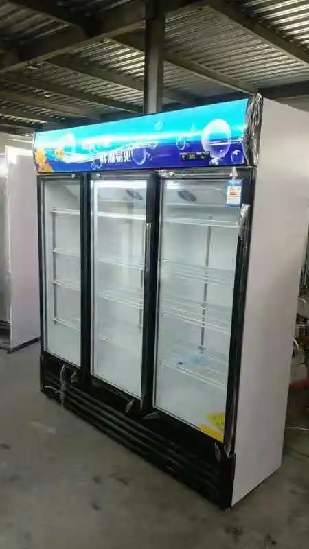 Удаленный маленький холодильник с двойной дверцей для мясника Морепродуктов Охладитель