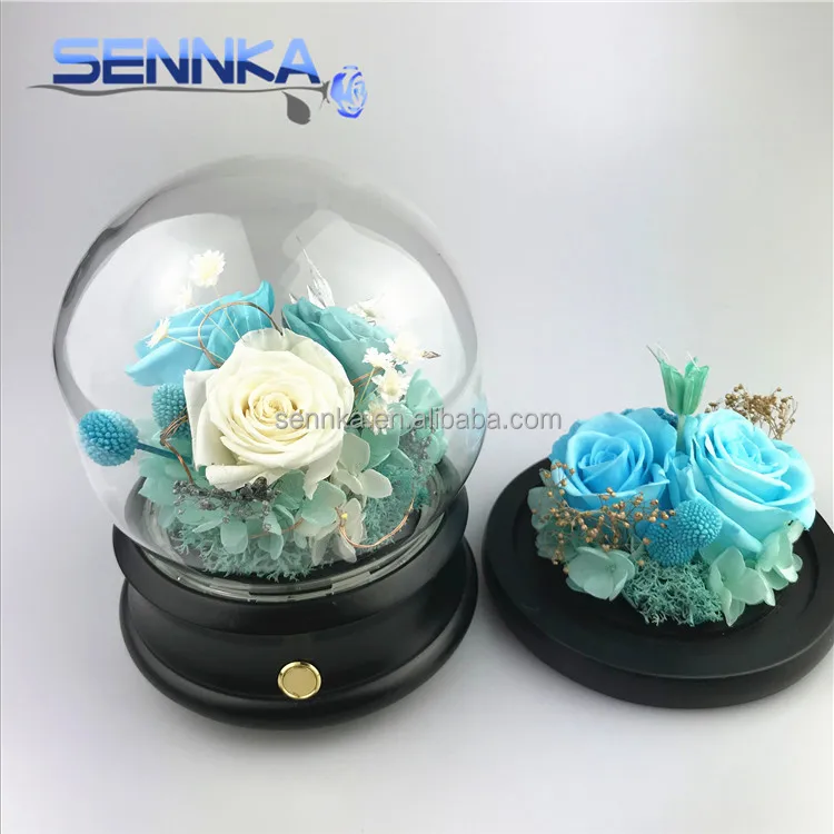 wholesale fresh Preserved flower in glass roses preserved flowers DIY decoration