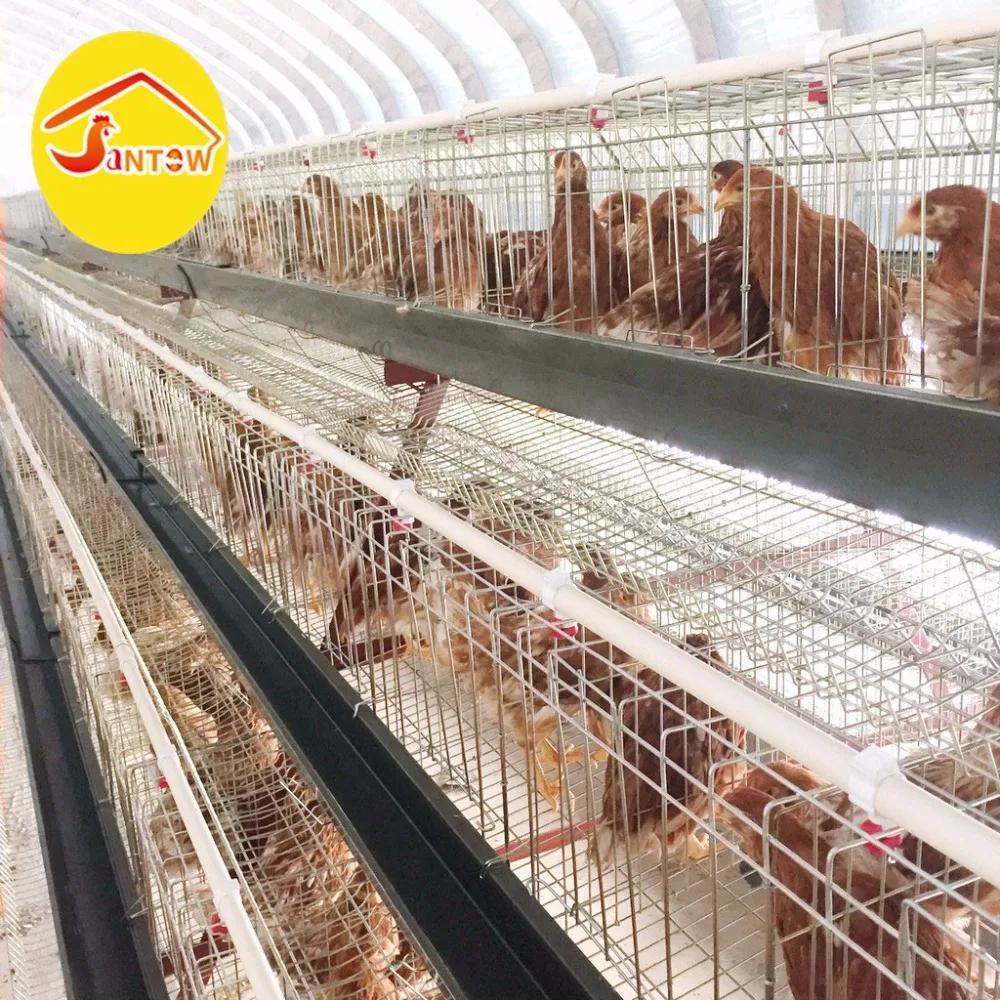 A type battery cage 4 tier chicken layer cages how to build a chicken coops for poultry farm