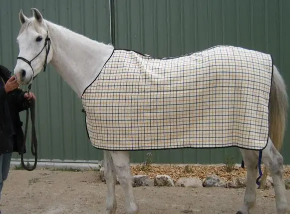 Horse exercise sheet