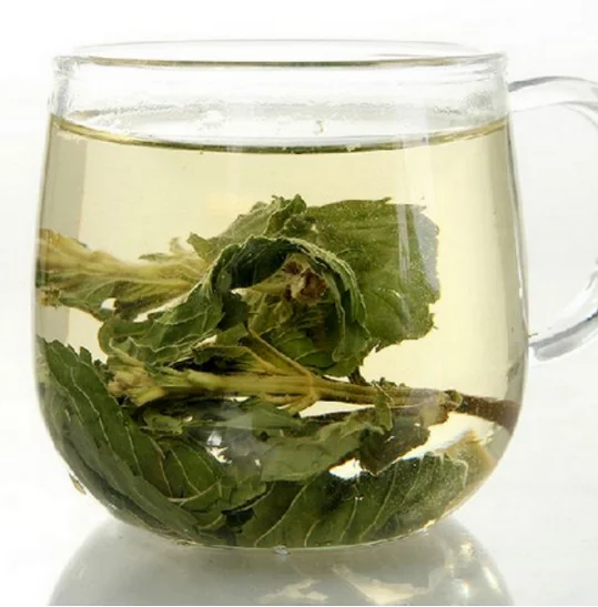 Dried plant leaves Tea Mint Leaf Mentha Leave Peppermint Leaf Tea