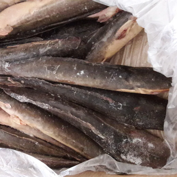 
chinese seafood factory wr black catfish fish for african market 