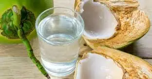 
Frozen coconut water from Brazil 