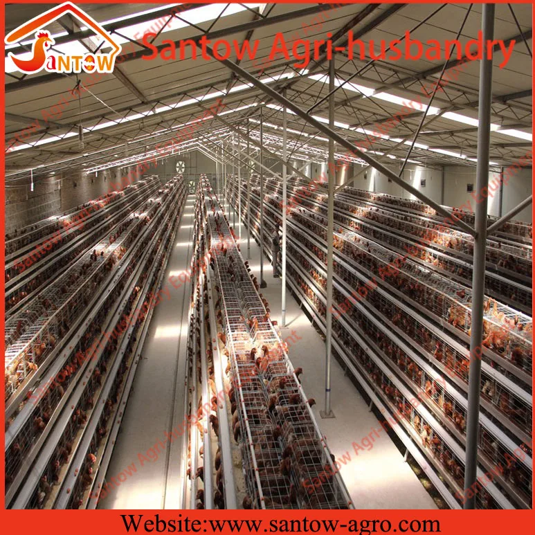 A type 4 tier chicken layer cages pigeon breeding battery cage for poultry farm