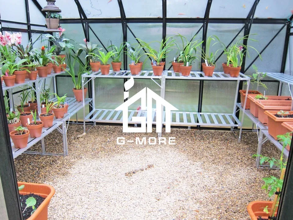 G-MORE High Grade Elegant Classic English Style Orangery Glass Greenhouse