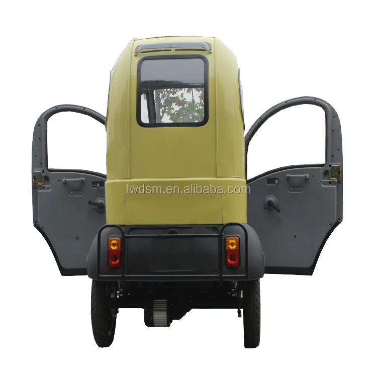 Fully enclosed 800w electric cars adults vehicle