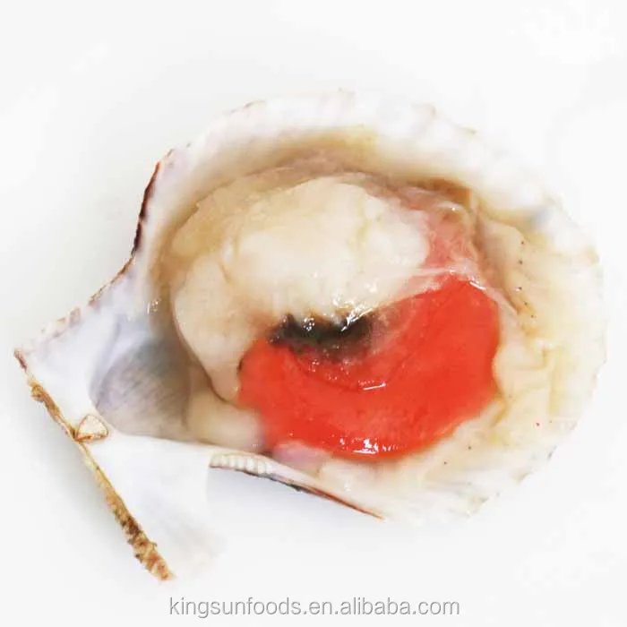 Half Shell Frozen Farreri Scallop