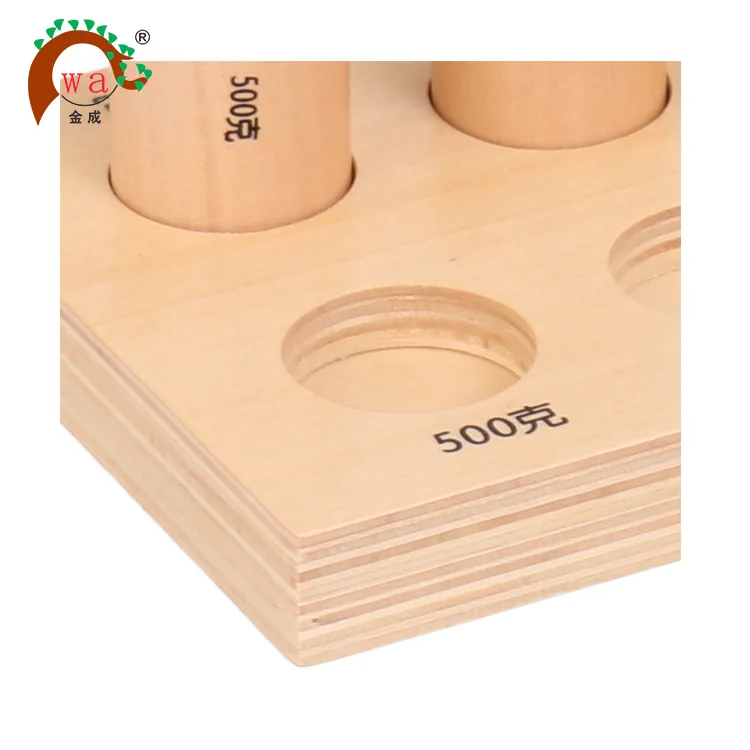 Montessori Educational Wooden Weight Cylinders For Preschool Child with knob