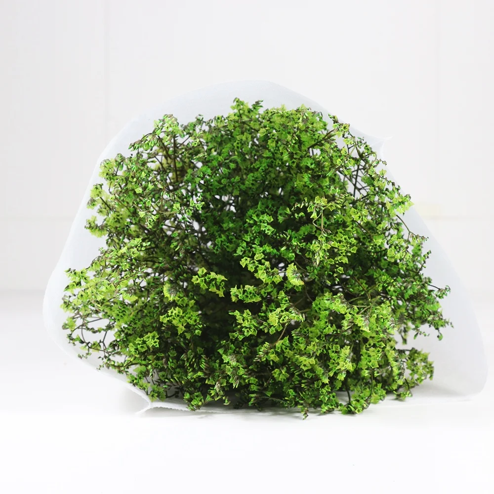 Лидер продаж, сохраненный цветок ЛИМОНИЯ Caspea высокого качества для украшения дома или хобби