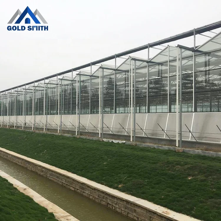 China Greenhouse Supplier Gold Smith Agricultural Glass Greenhouse