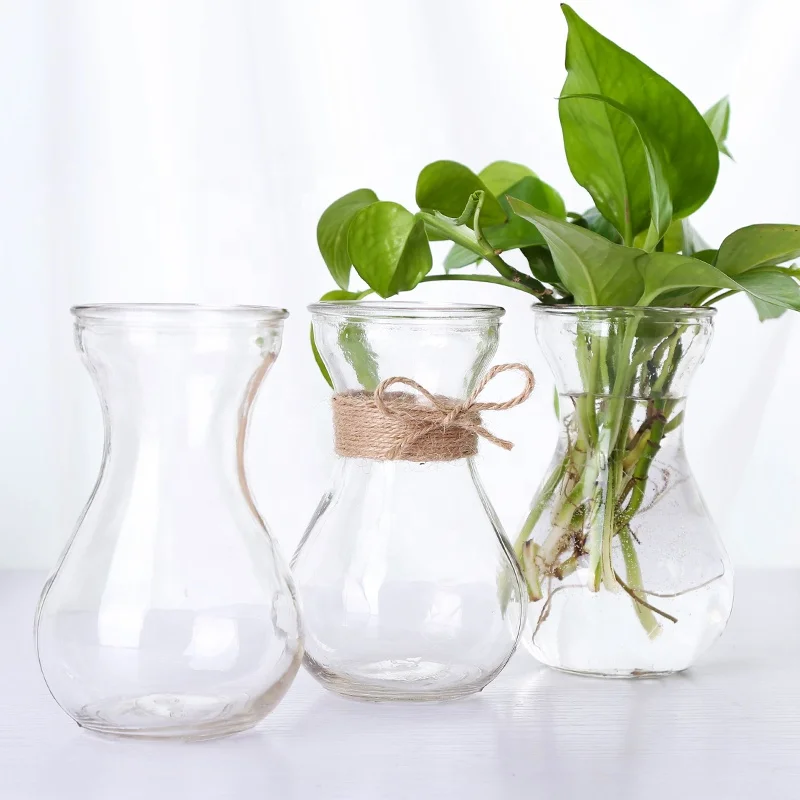 
European-style Hydroponic Plant Pots Clear Glass Flower Vase Hyacinth Flowerpot For Living Room 