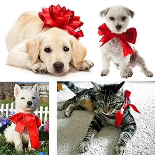 Wholesale Factory Price Colorful 2' 2.5' 3' 4' Wide Outdoor Polyester Ribbon