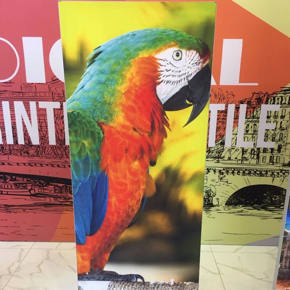 
Best-selling heat transfer fabric for indoor large-format display textiles 