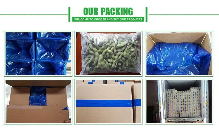 
Soya beans in shell pod and iqf edamame/soya beans in pod 