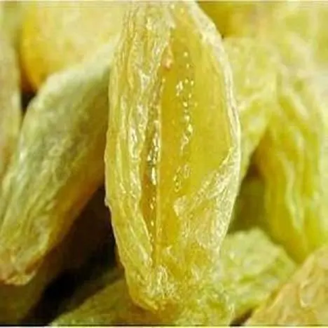 
hot sale green raisin with high quality 