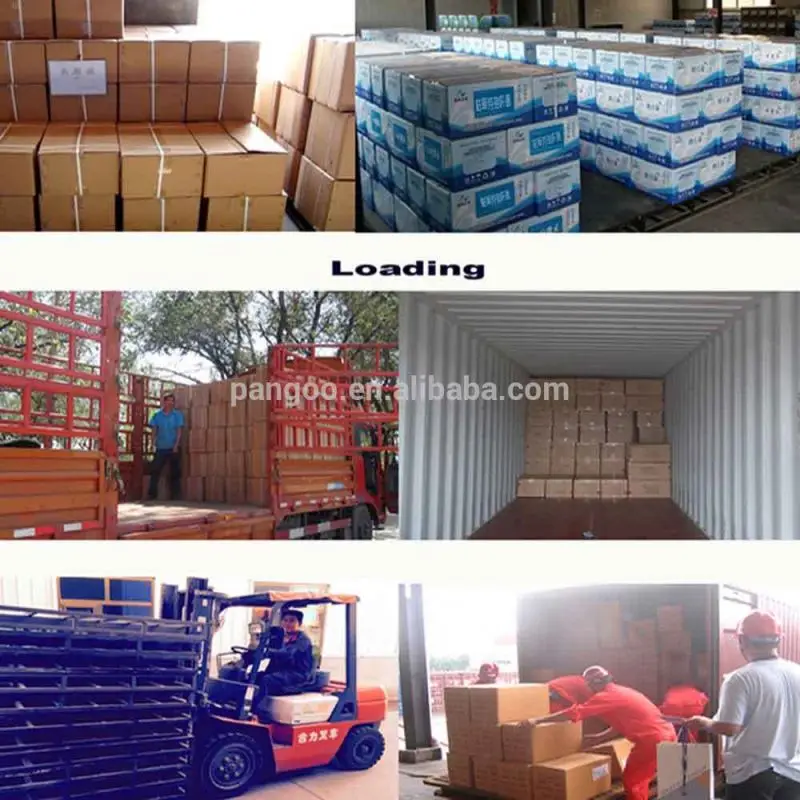 
POL-03 PANGOO , Probiotic feed for broiler 