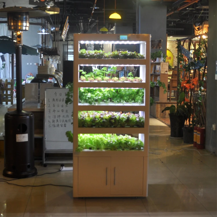 Urban Agriculture Hydroponics Farm Smart Greenhouse Strawberry Growing Systems Vertical Vegetable Planters