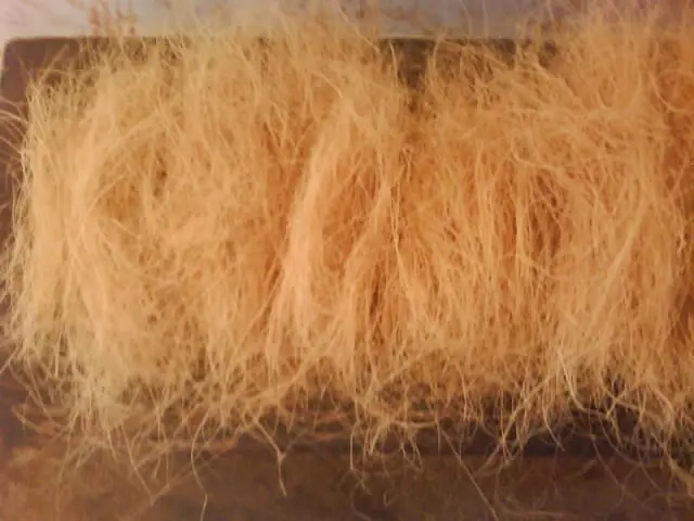Coconut Fiber