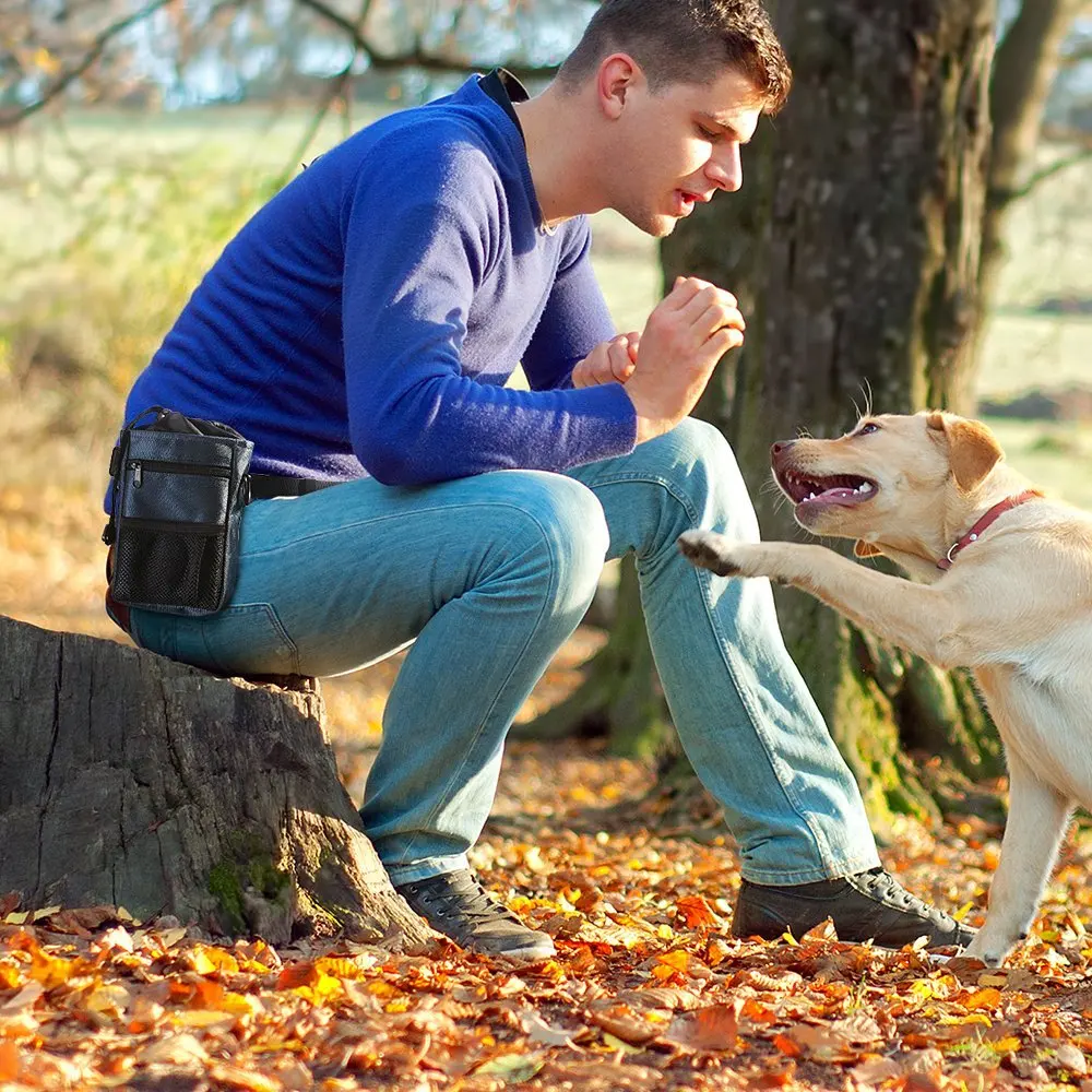 Лидер продаж Amazon 2019, Портативный Регулируемый мешочек для собак для тренировок