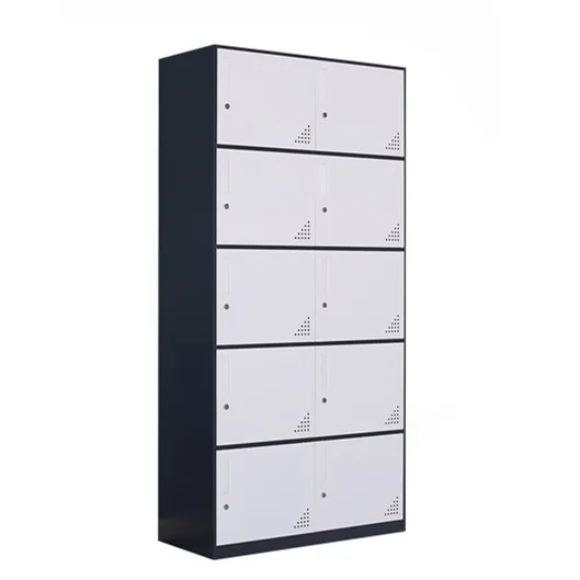 Многофункциональный офисный школьный шкаф для хранения шкафчик с 10 дверцами двухцветный железный