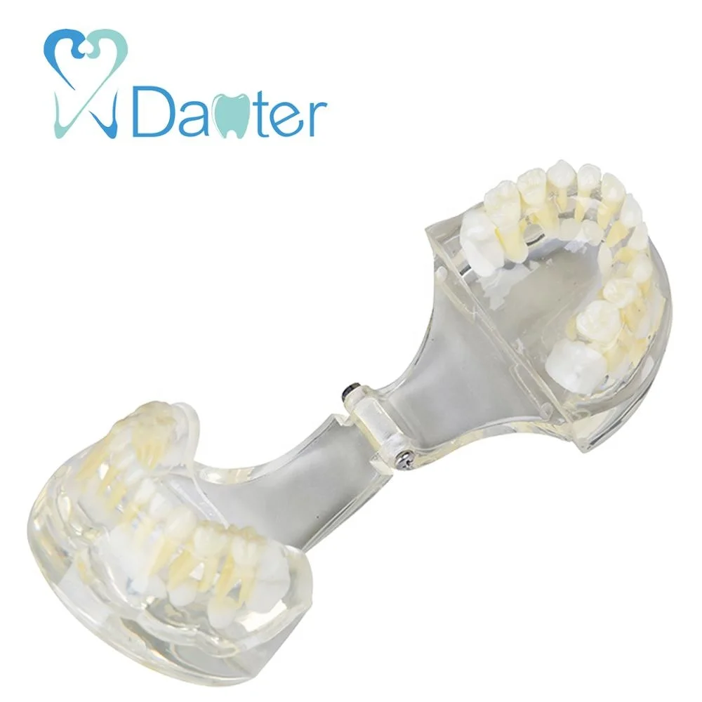 new arrival pediatric model for 3 years old